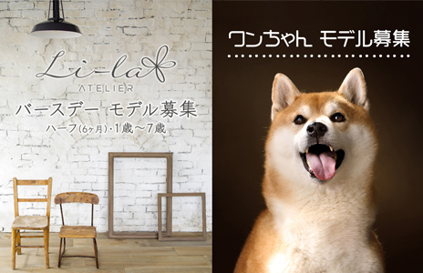 バースデーフォト＆ワンちゃんモデル募集中